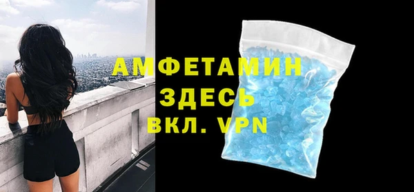 индика Алзамай