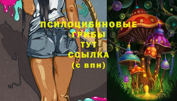 сатива Алексин