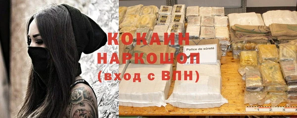 индика Алзамай